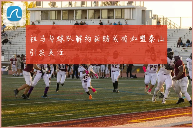 祖马与球队解约获赔或将加盟泰山引发关注