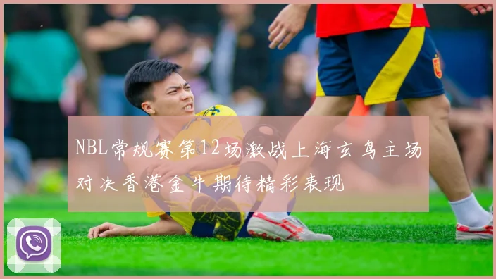 NBL常规赛第12场激战上海玄鸟主场对决香港金牛期待精彩表现