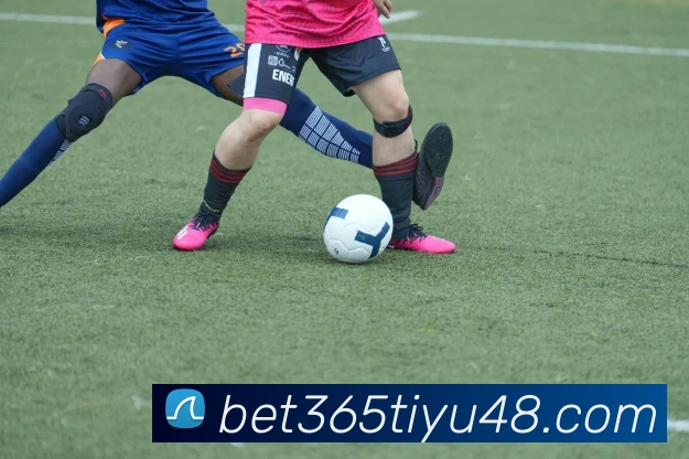 bet365体育平台生态图